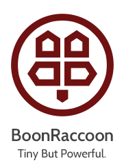 BoonRaccoon